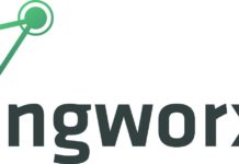 NGWorx.ag: Gold-Partner für A10 Networks Logo von NGWorx.ag