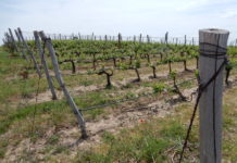 Dürre Zeiten für Schweizer Detailhandel