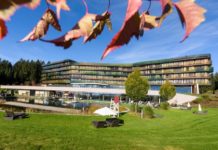 Herbstfreuden im Hotel Aviva: Ideal für Singles und Alleinreisende