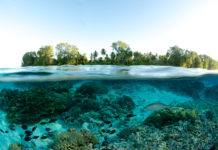 British Airways fliegt zweimal wöchentlich auf die Seychellen Seychellen