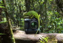 LUMIX G9 setzt Profi-Massstäbe Panasonic Lumix G9