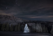 Sony World Photography Awards: Sylvia Michel sichert sich Swiss National Award Sony World Photography Awards Gewinnerbild Schweiz