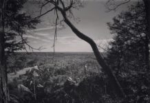 Startschuss für die Sony World Photography Awards 2019 Foto von Megan Johnson, Youth Photographer of the Year der Sony World Photography Awards 2018