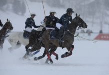 Drei Tage Weltklasse Polo