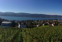 ConsumerLab Insight Report: Konsumenten legen mehr Wert auf Umweltschutz