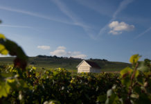 Arrivage Louis Roederer Brut Nature Blanc & Rosé 2012