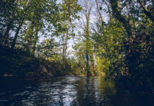 ewz: Projektideen gesucht