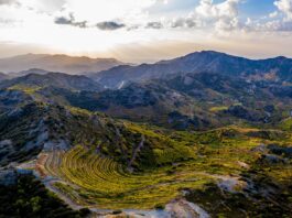 Weiss- & Rosé-Weine 2019 aus Zypern