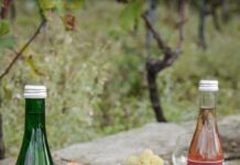 OPALINE erweckt GRAPILLON zu neuem Leben!