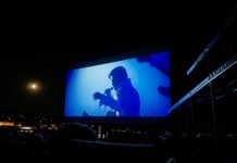 Kino am Zürichhorn erfolgreich beendet Quelle: Allianz Cinema.