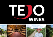 TEJO – Weine aus dem Herzen Portugals