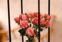 Hendrick’s FLORA ADORA Gin