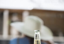 Himmlische Aprikosen-Limonade als Schweizer Premiere!