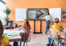 Ceconet distribuiert Vogel´s Products BV in der Schweiz Quelle: Ceconet.