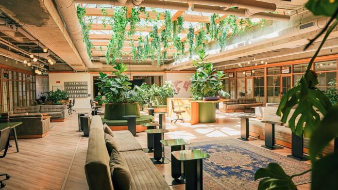 roomz Quelle: ROOMZ.