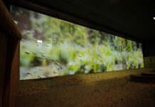 Epson-Grossprojektion für Museumsausstellung Grossprojektion. Quelle: Flavio Bossi