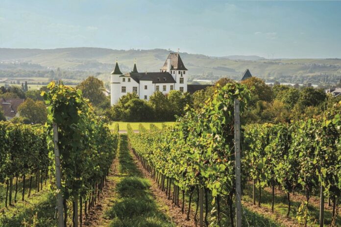 Copyright-Paul-Mukian