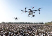 Resilienz wird zur harten Managementkennzahl Bild: Pixabay CC0