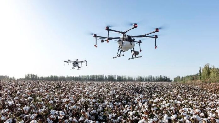 0127547305v1 Bild: Pixabay CC0