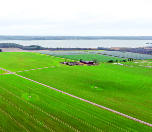 ewz baut 24-MW-Solarpark in Schweden Montage Solarpark Ulvasa/Schweden