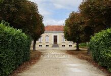 Wine und Food Pairing: Lunch-Endeckungen aus Bordeaux