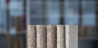 Wie Pilze Holz veredeln können Pilze zeichnen im Marmorholz ein Muster, das nicht an der Oberfläche der Bretter bleibt, sondern sich durch das ganze Holzstück zieht. Bild: Empa