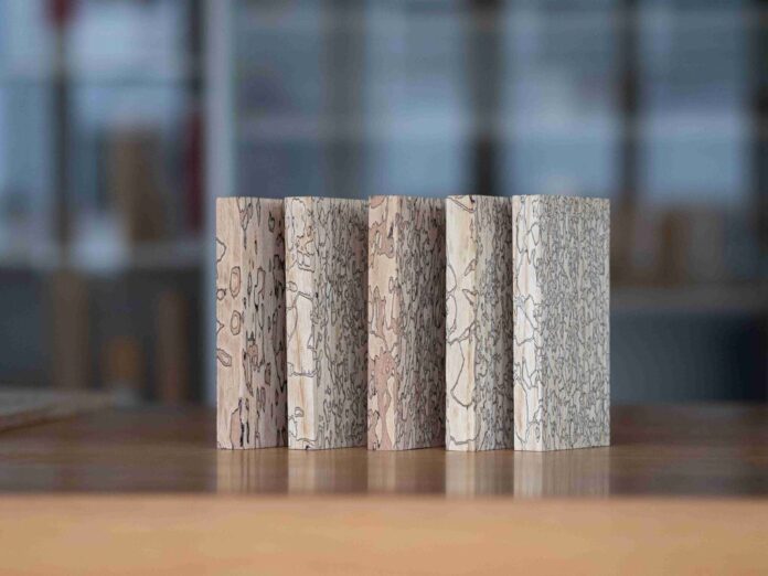 Pilze zeichnen im Marmorholz ein Muster, das nicht an der Oberfläche der Bretter bleibt, sondern sich durch das ganze Holzstück zieht. Bild: Empa