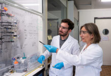 Wie bessere Feststoffakkus entstehen Dorina Opris (rechts) und Can Zimmerli haben die Silikon-Basis mit funktionalen Gruppen versehen, die das Polymer zu einem guten Ionenleiter machen, ohne ihm seine Elastizität zu nehmen. Bild: Empa