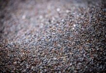 Billigspielzeug schadet der Kreislaufwirtschaft