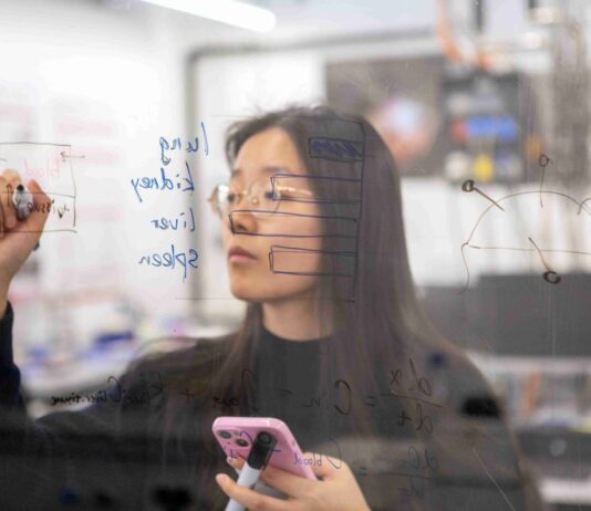 KI-Computermaus reduziert Tierversuche Die Empa-Forscherin Jimeng Wu hat mit einer virtuellen Maus eine Alternative zu Tierversuchen geschaffen: die KI-unterstützte Maus kann berechnen, welche Nanopartikel in die Lunge, die Nieren, die Leber und die Milz einer Maus gelangen und wo sie sich ansammeln. Bild: Empa