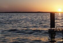 Wie Roboter zur Nachhaltigkeit beitragen Das SailMAV-System kann fliegen und anschliessend auf der Wasseroberfläche segeln. Dank der Nutzung von Windenergie lassen sich aquatische Ökosysteme besonders energieeffizient überwachen. Bild: Empa